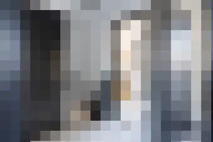 Sytsingawiersterleane 9 Sneek thumbnail 23