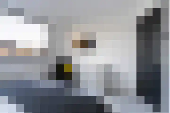 Sytsingawiersterleane 9 Sneek thumbnail 25
