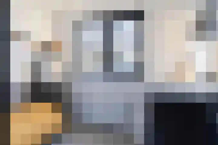Sytsingawiersterleane 9 Sneek thumbnail 27