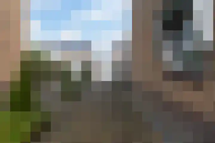Sytsingawiersterleane 9 Sneek thumbnail 41
