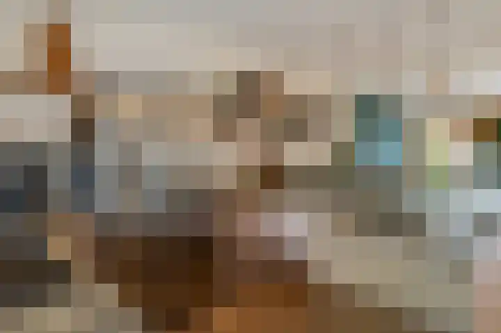 Sytwinde 100 Nootdorp thumbnail 15