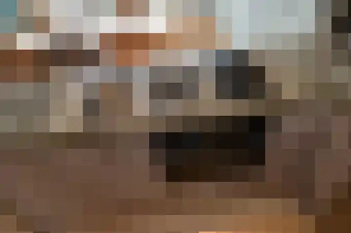 Sytwinde 100 Nootdorp thumbnail 16