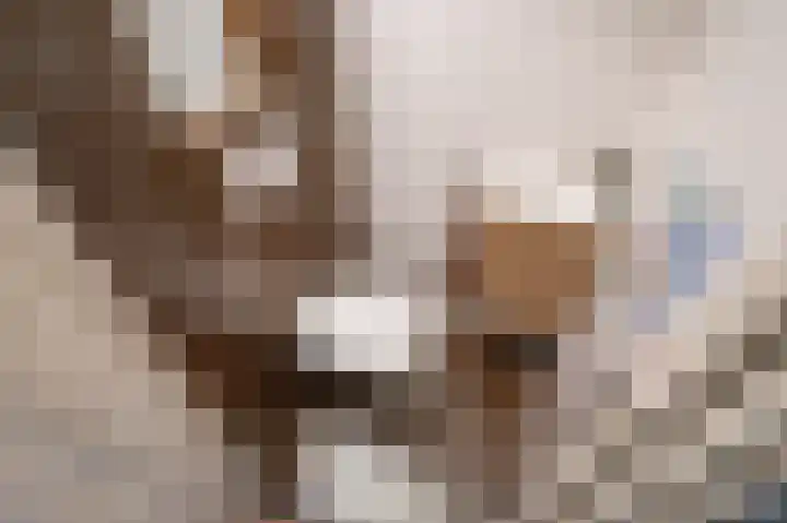 Sytwinde 100 Nootdorp thumbnail 23
