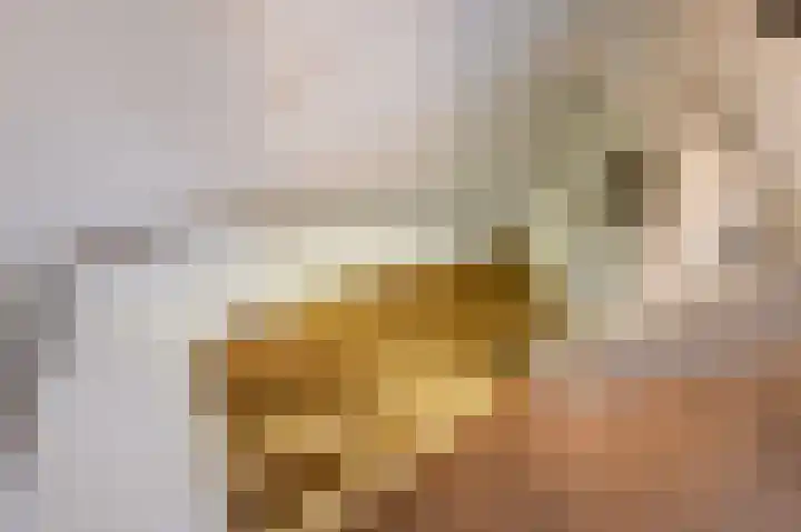 Sytwinde 100 Nootdorp thumbnail 24