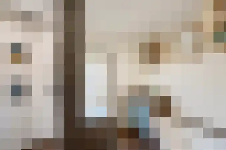 Sytwinde 100 Nootdorp thumbnail 35