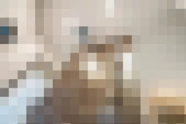 Sytwinde 100 Nootdorp thumbnail 38