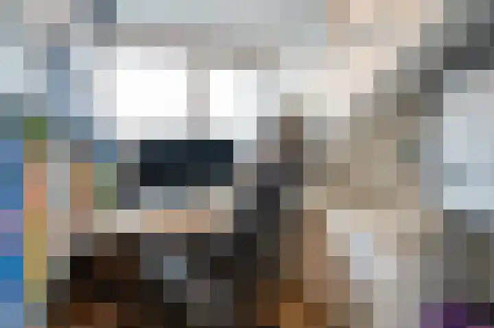 Sytwinde 100 Nootdorp thumbnail 47