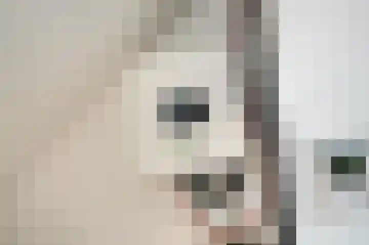 Sytwinde 100 Nootdorp thumbnail 48