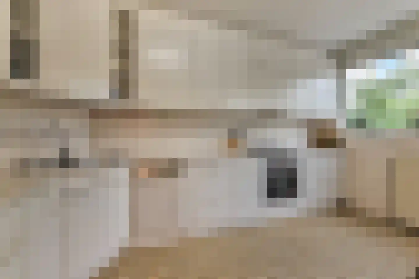 Sytwinde 11 Nootdorp thumbnail 22