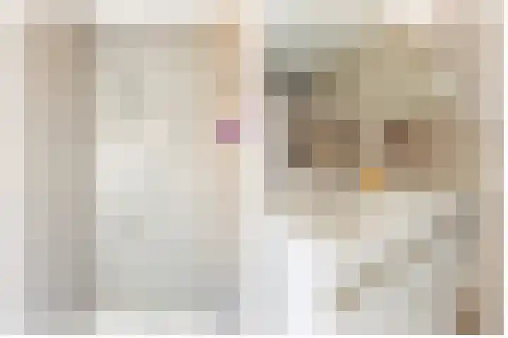 Sytwinde 130 Nootdorp thumbnail 20