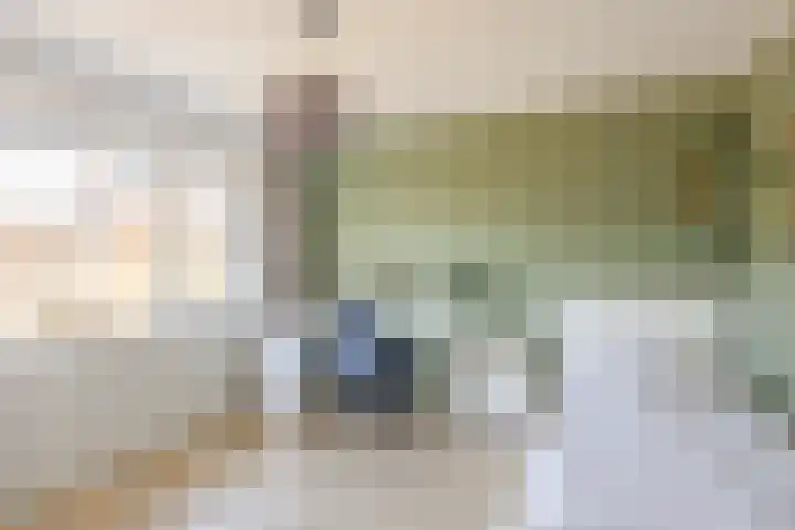 Sytwinde 130 Nootdorp thumbnail 23