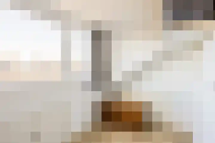 Sytwinde 130 Nootdorp thumbnail 28