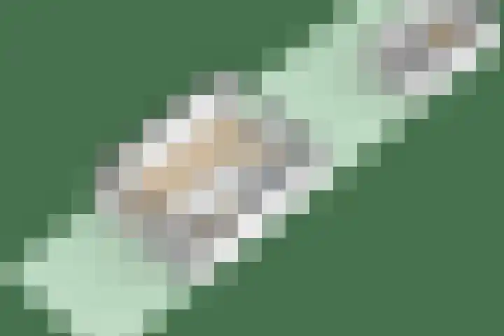 Sytwinde 130 Nootdorp thumbnail 40