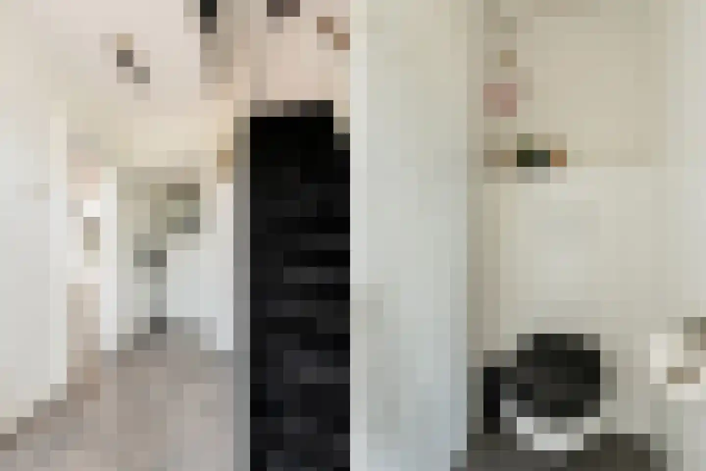 Sytwinde 200 Nootdorp thumbnail 14