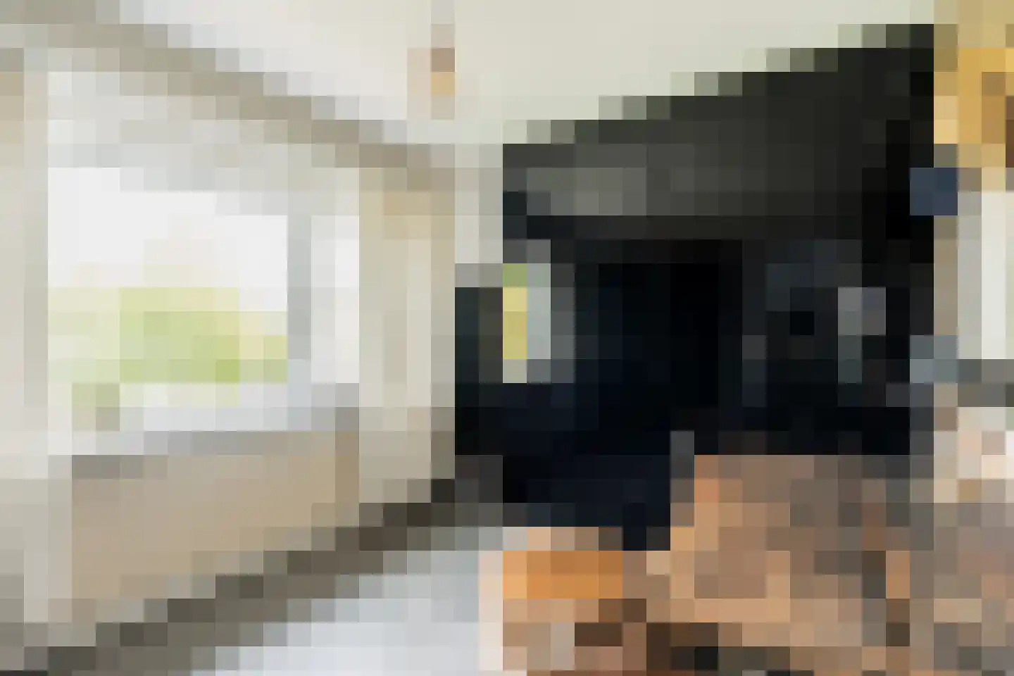 Sytwinde 200 Nootdorp thumbnail 17
