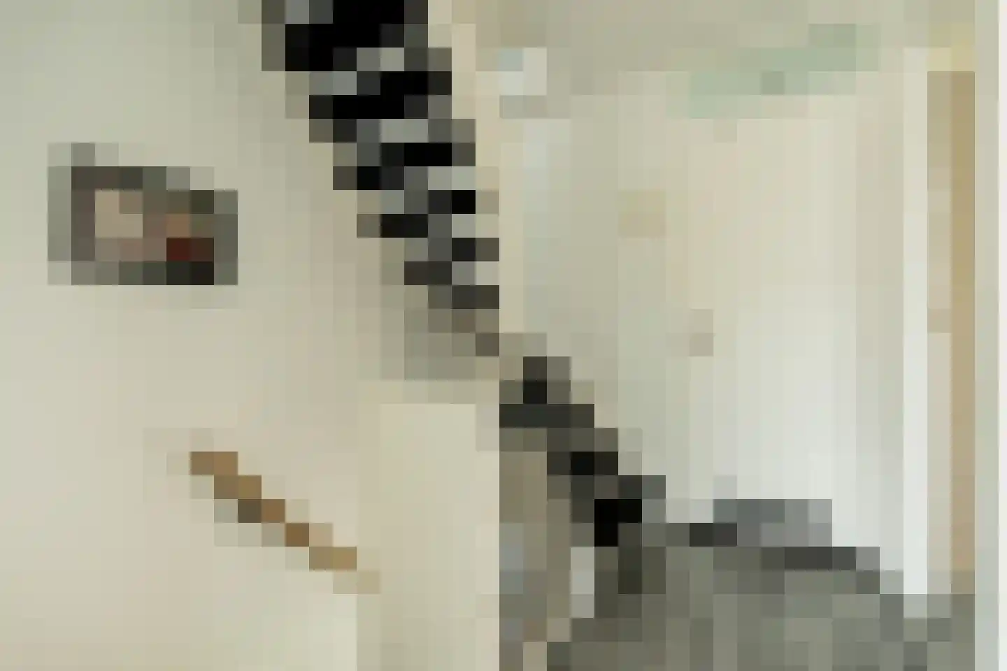 Sytwinde 200 Nootdorp thumbnail 21