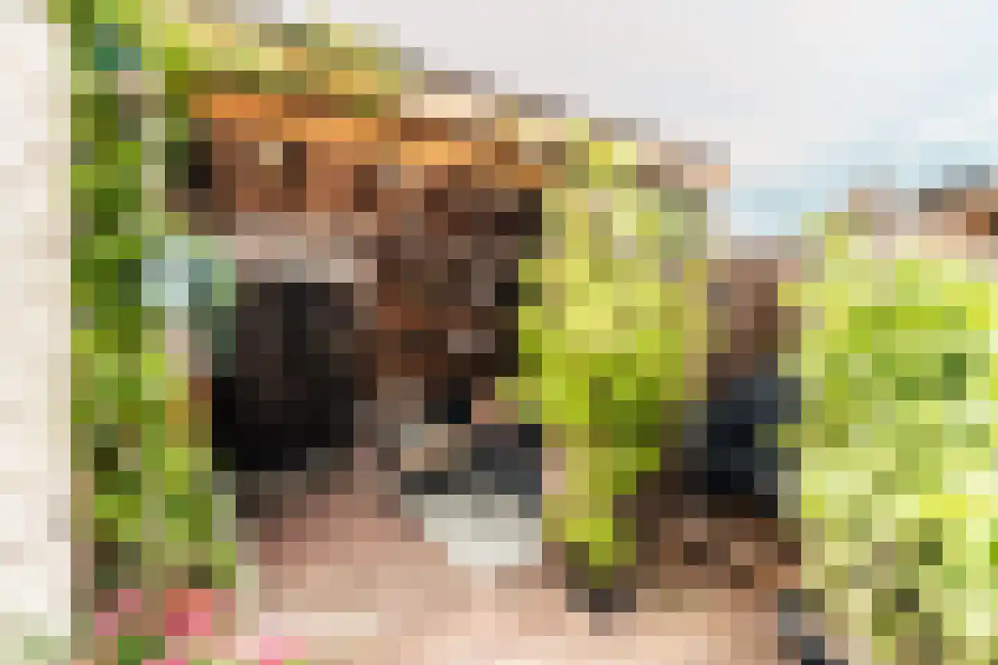 Sytwinde 200 Nootdorp thumbnail 27
