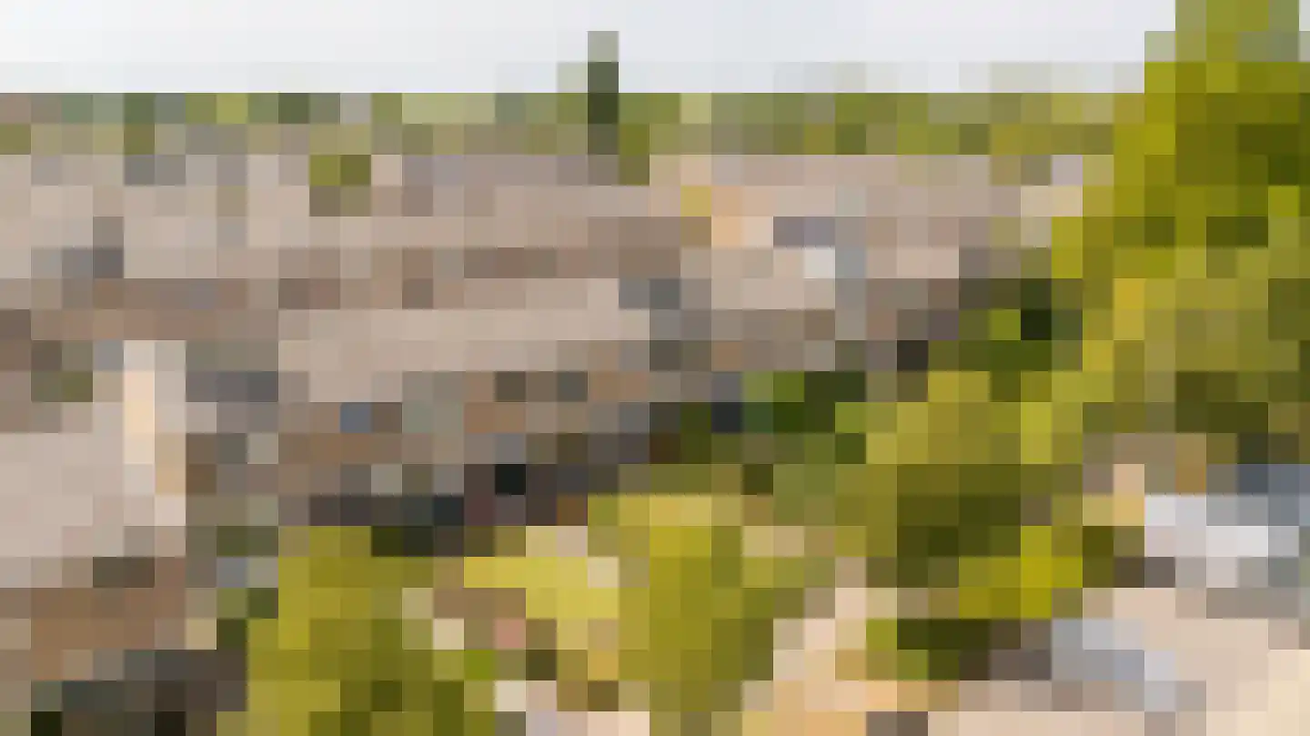 Sytwinde 200 Nootdorp thumbnail 30