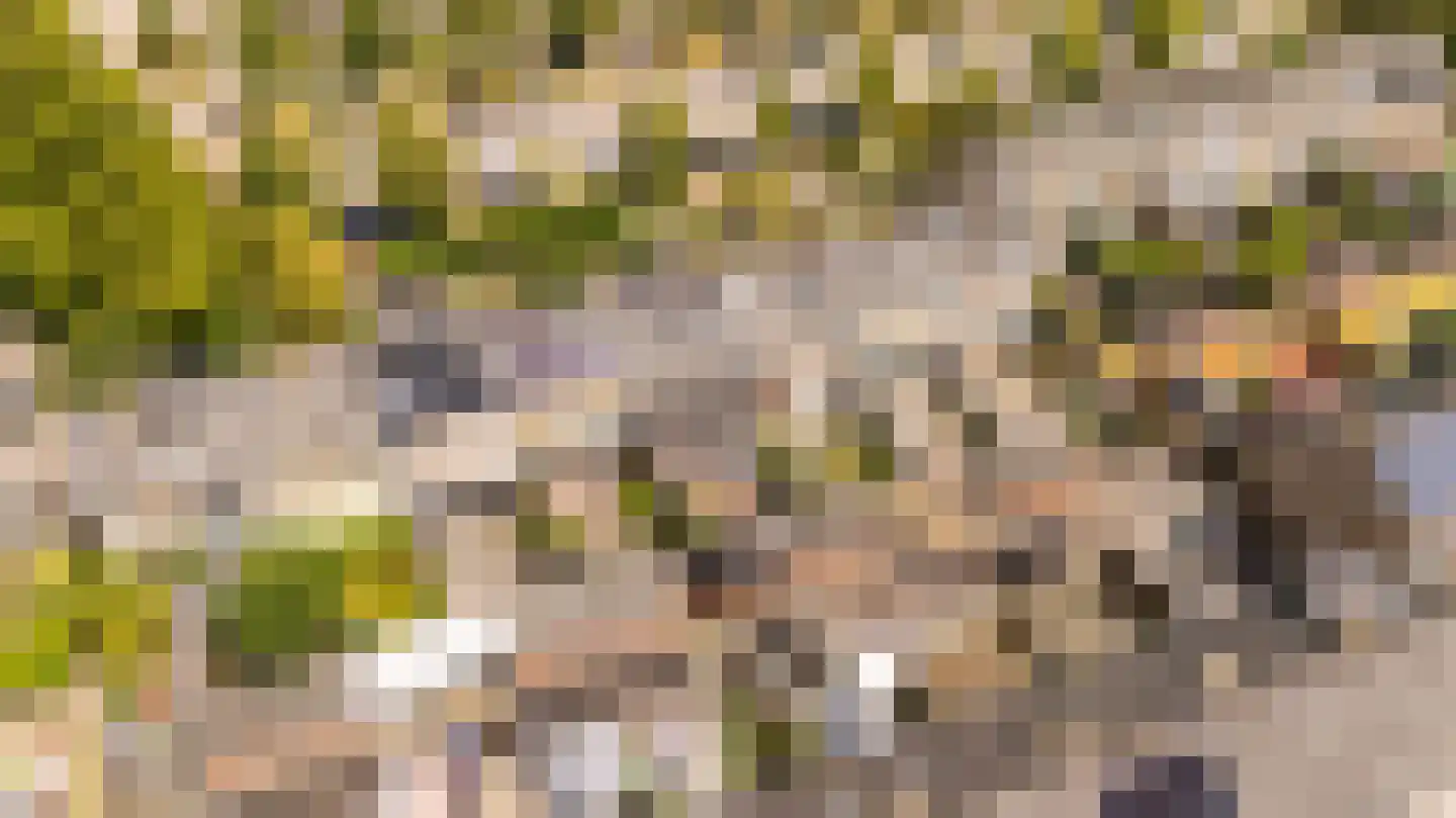 Sytwinde 200 Nootdorp thumbnail 31