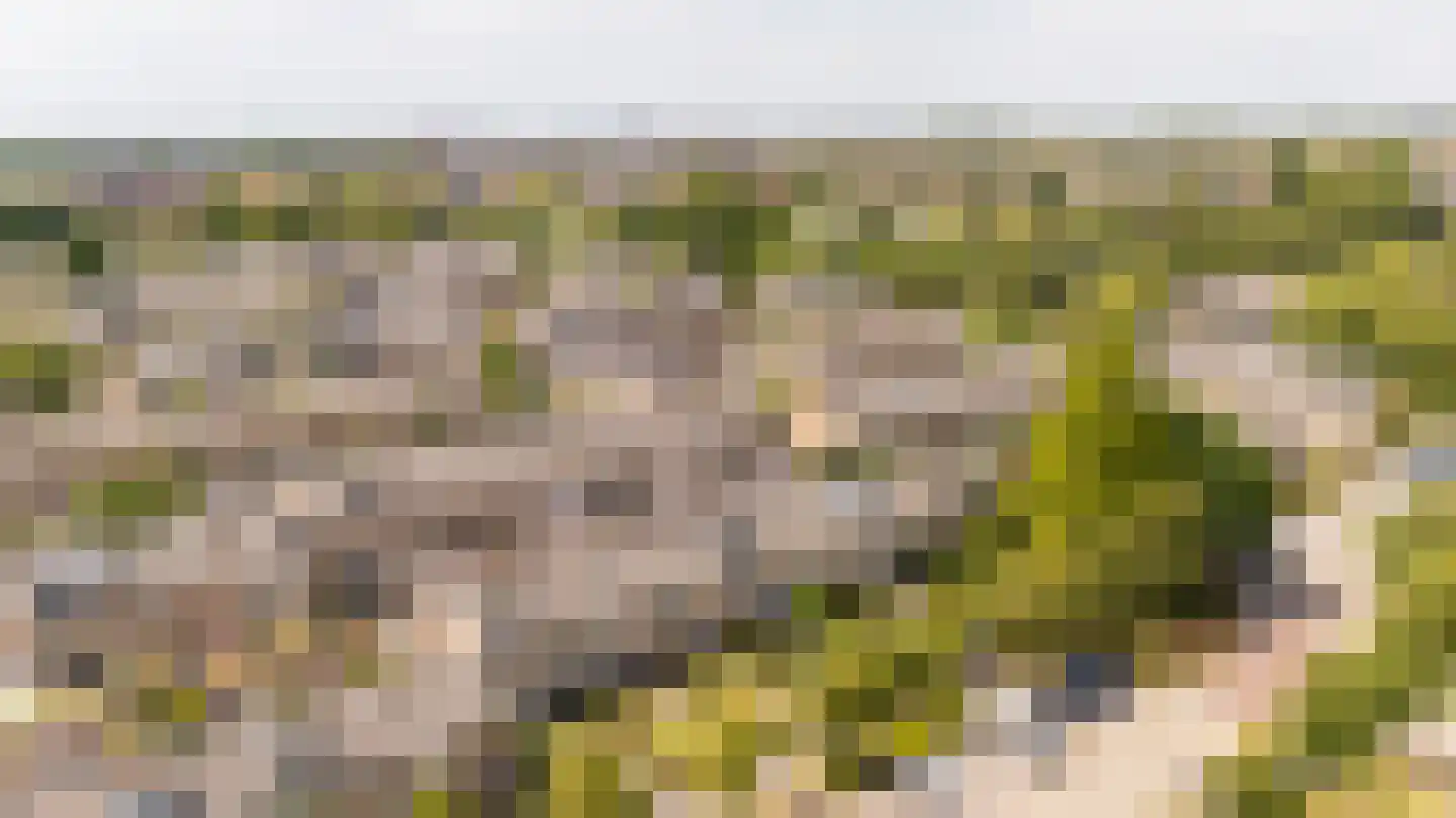 Sytwinde 200 Nootdorp thumbnail 32
