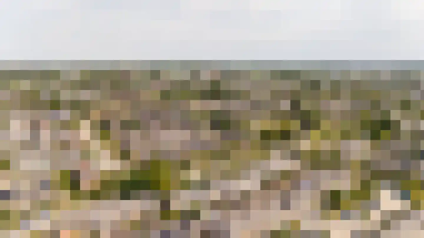 Sytwinde 200 Nootdorp thumbnail 33