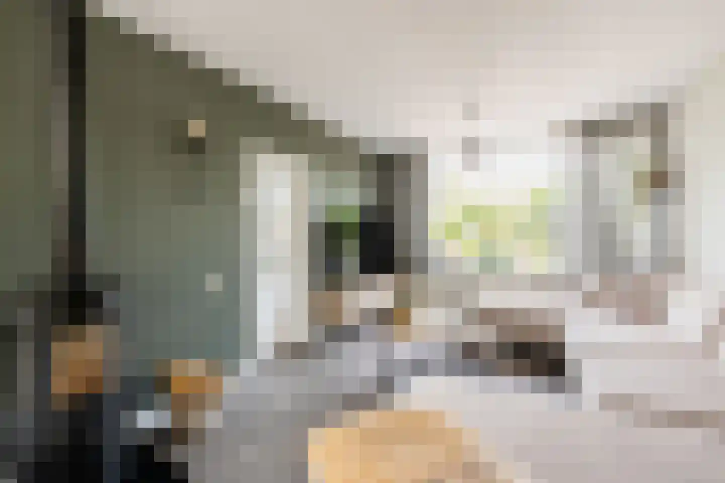 Sytwinde 200 Nootdorp thumbnail 5