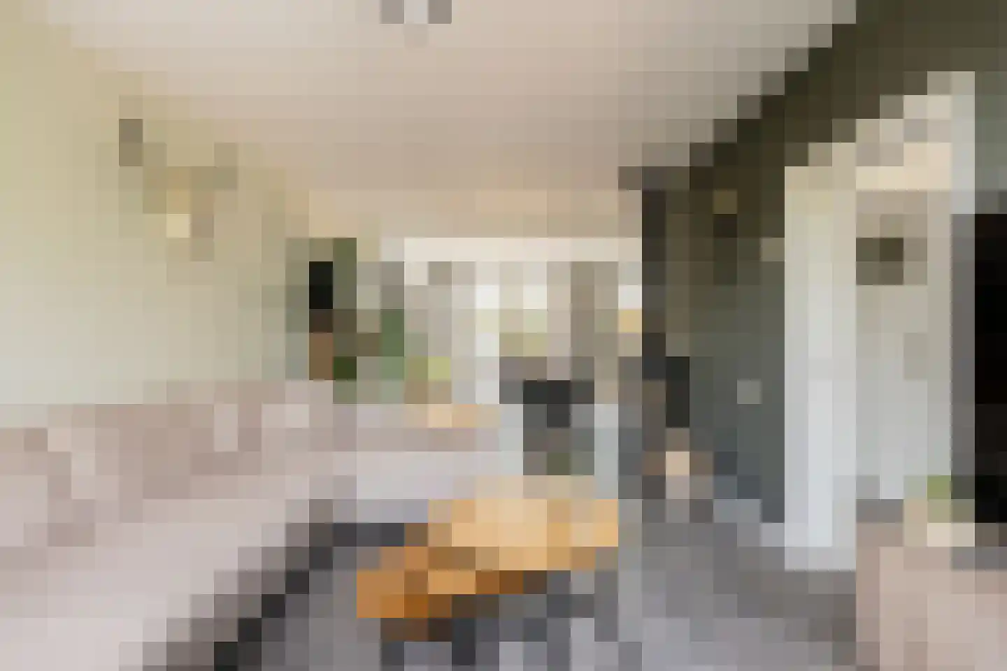 Sytwinde 200 Nootdorp thumbnail 6