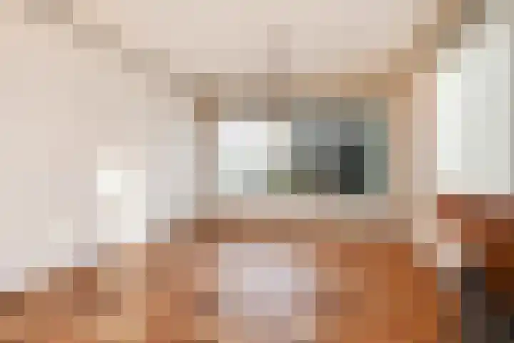 Sytwinde 8 Nootdorp thumbnail 25