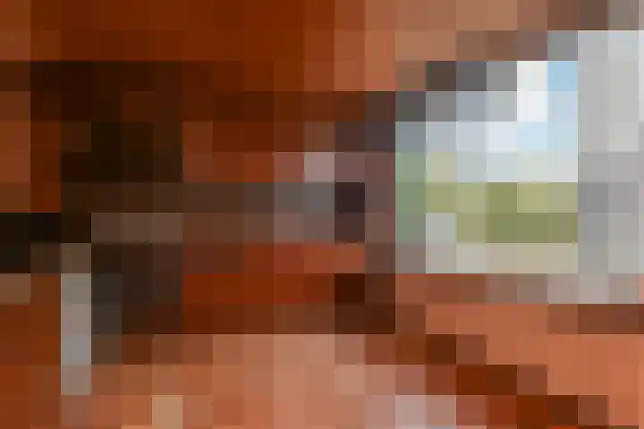 Sytwinde 8 Nootdorp thumbnail 26