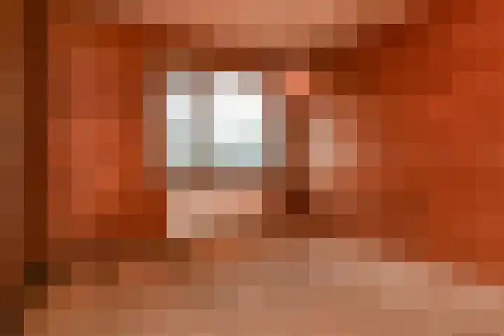 Sytwinde 8 Nootdorp thumbnail 31