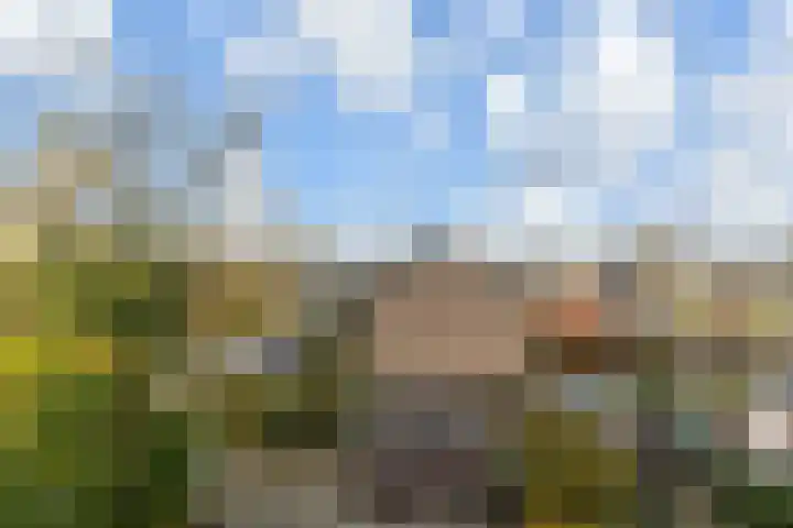 Sytwinde 8 Nootdorp thumbnail 45