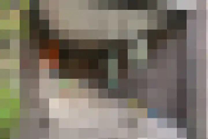 Sytwinde 8 Nootdorp thumbnail 46
