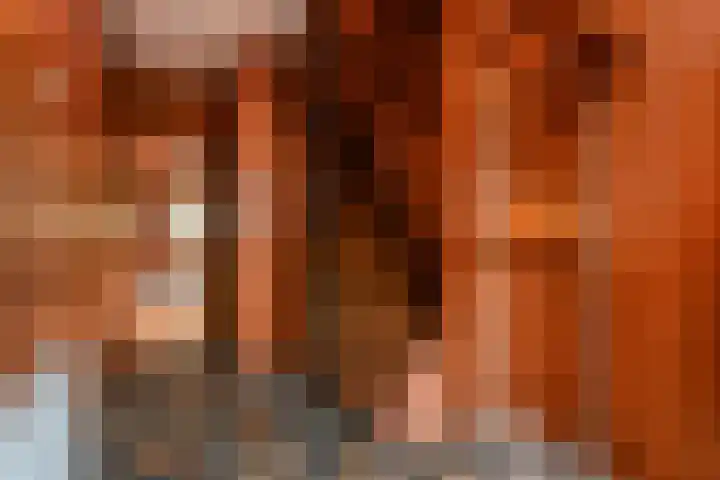 Sytwinde 8 Nootdorp thumbnail 7