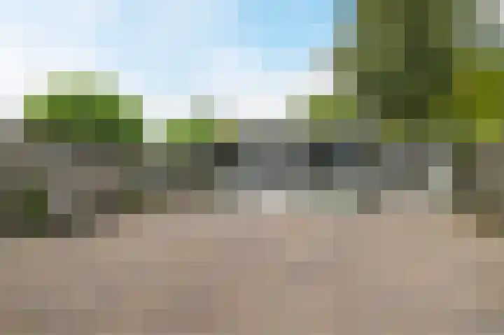 Sytzamaweg 30 Arum thumbnail 4