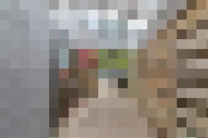 Sytzamaweg 30 Arum thumbnail 42