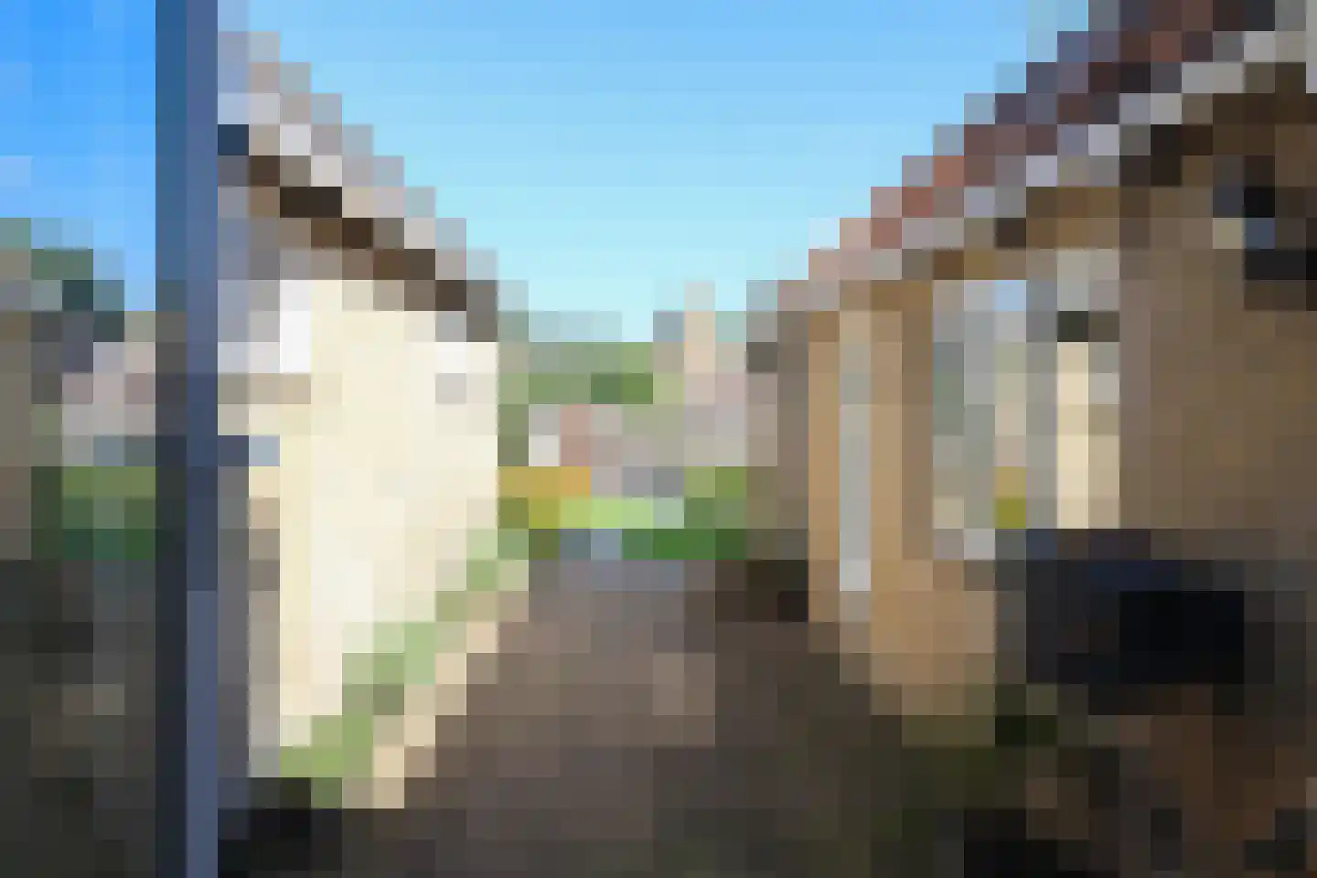 Sytzamaweg 44 Arum thumbnail 24