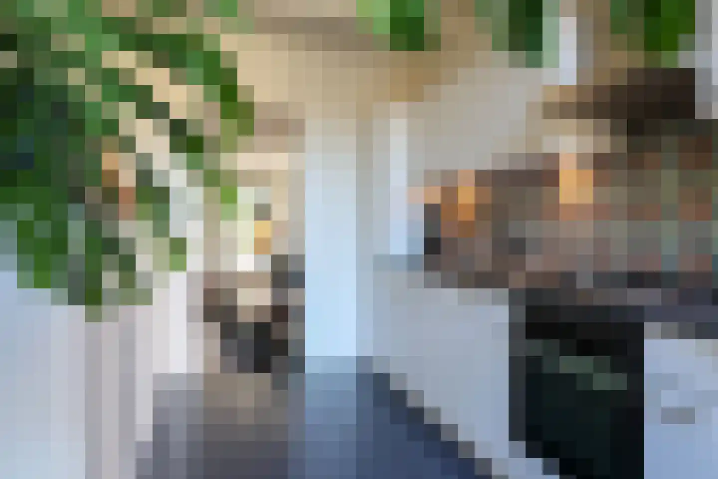 Sytzamaweg 44 Arum thumbnail 25