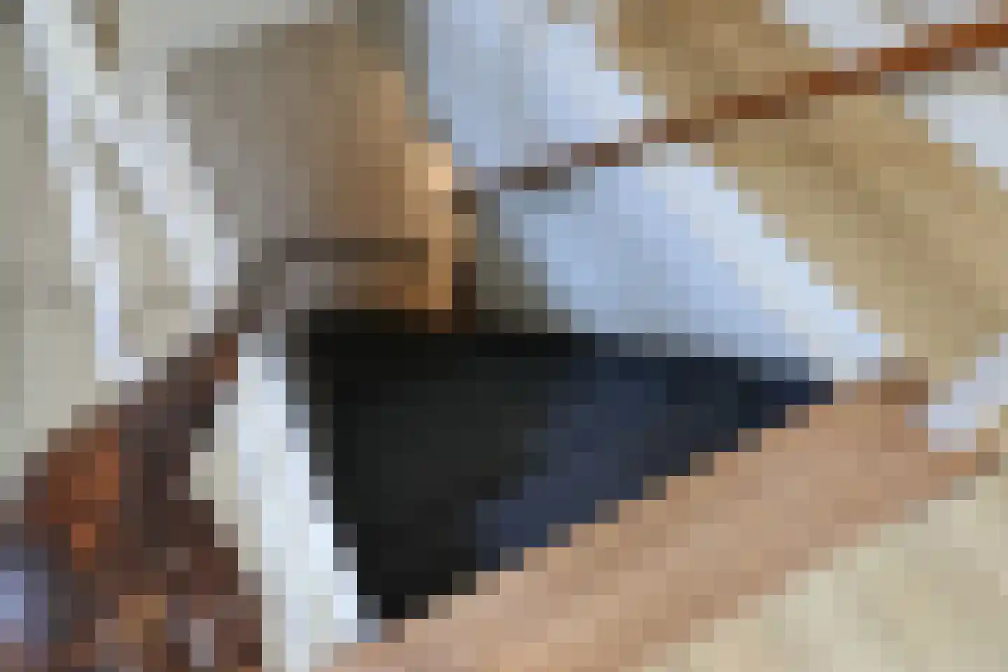 Sytzamaweg 44 Arum thumbnail 31