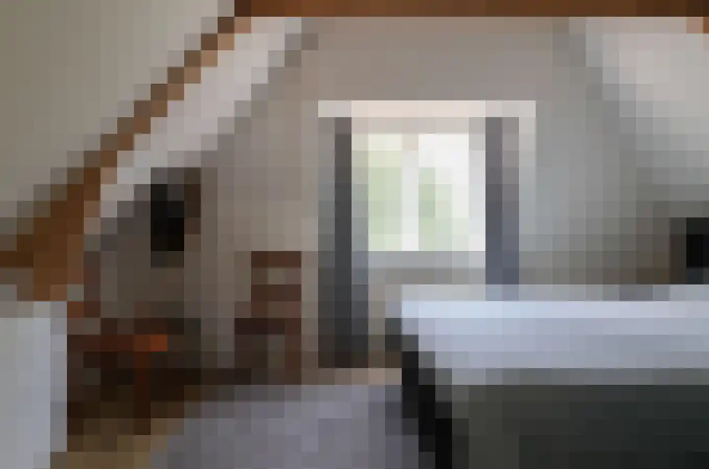 Sytzamaweg 44 Arum thumbnail 37