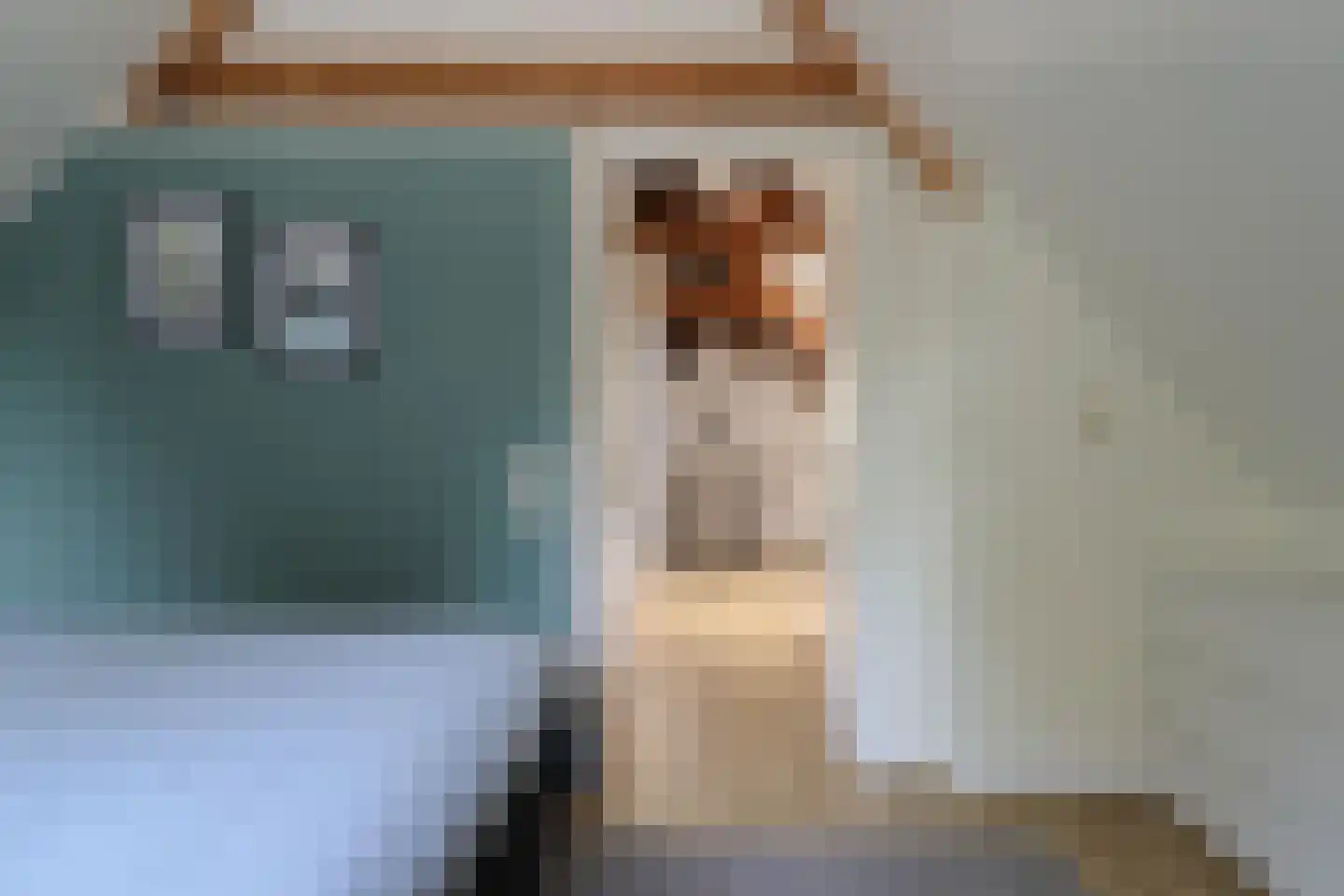 Sytzamaweg 44 Arum thumbnail 40