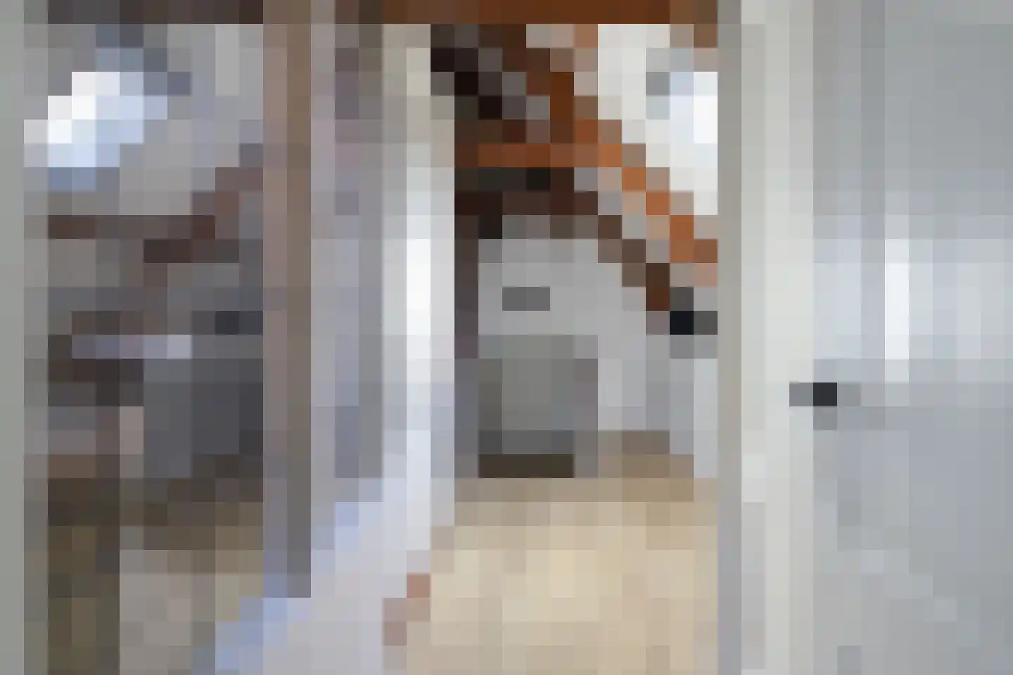 Sytzamaweg 44 Arum thumbnail 41