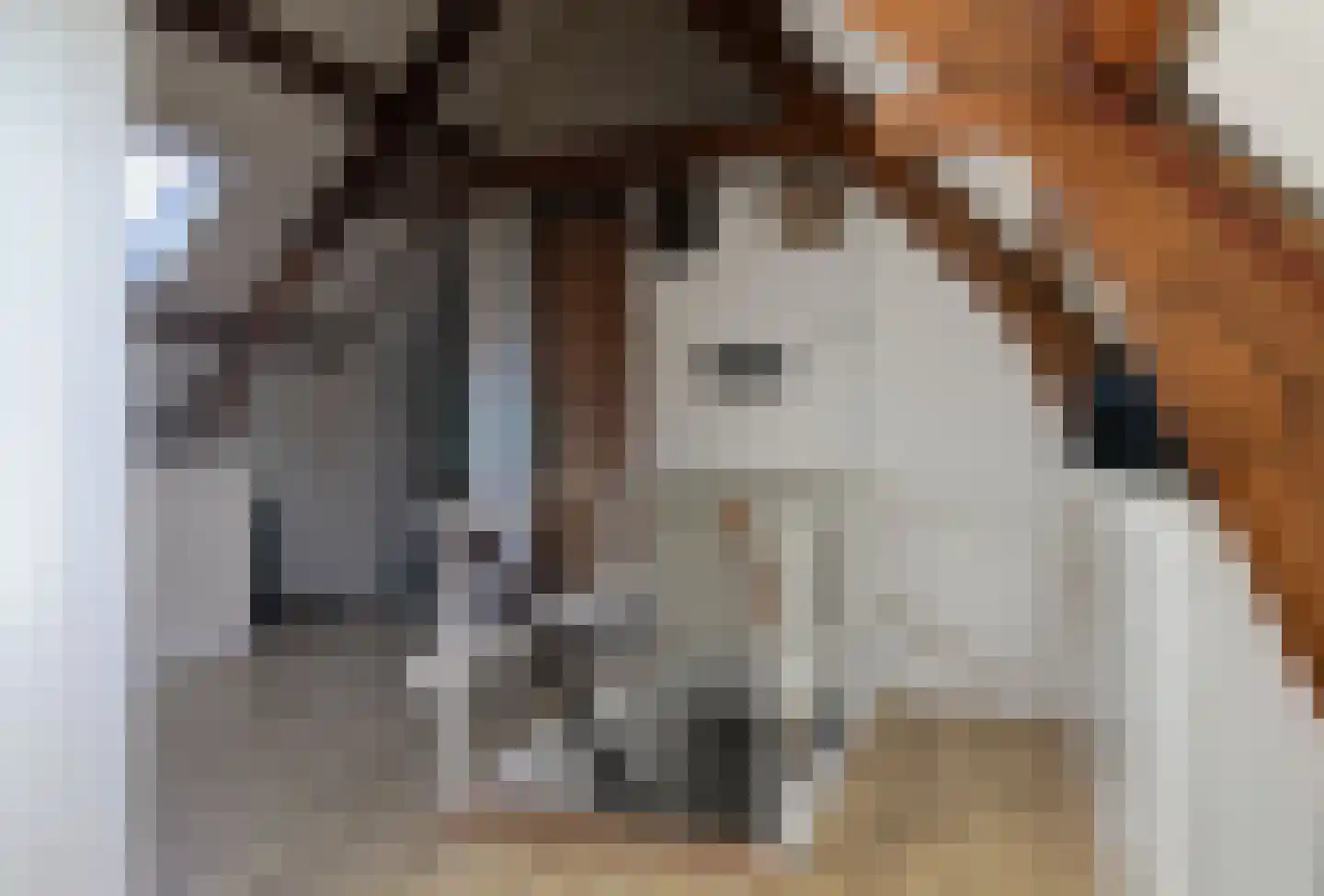 Sytzamaweg 44 Arum thumbnail 46