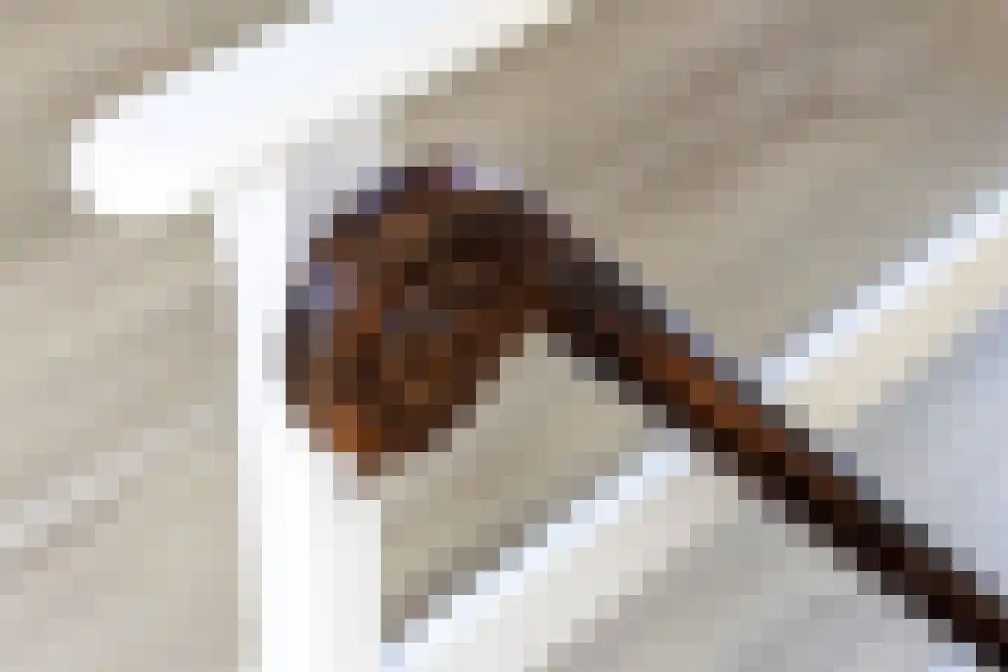 Sytzamaweg 44 Arum thumbnail 48