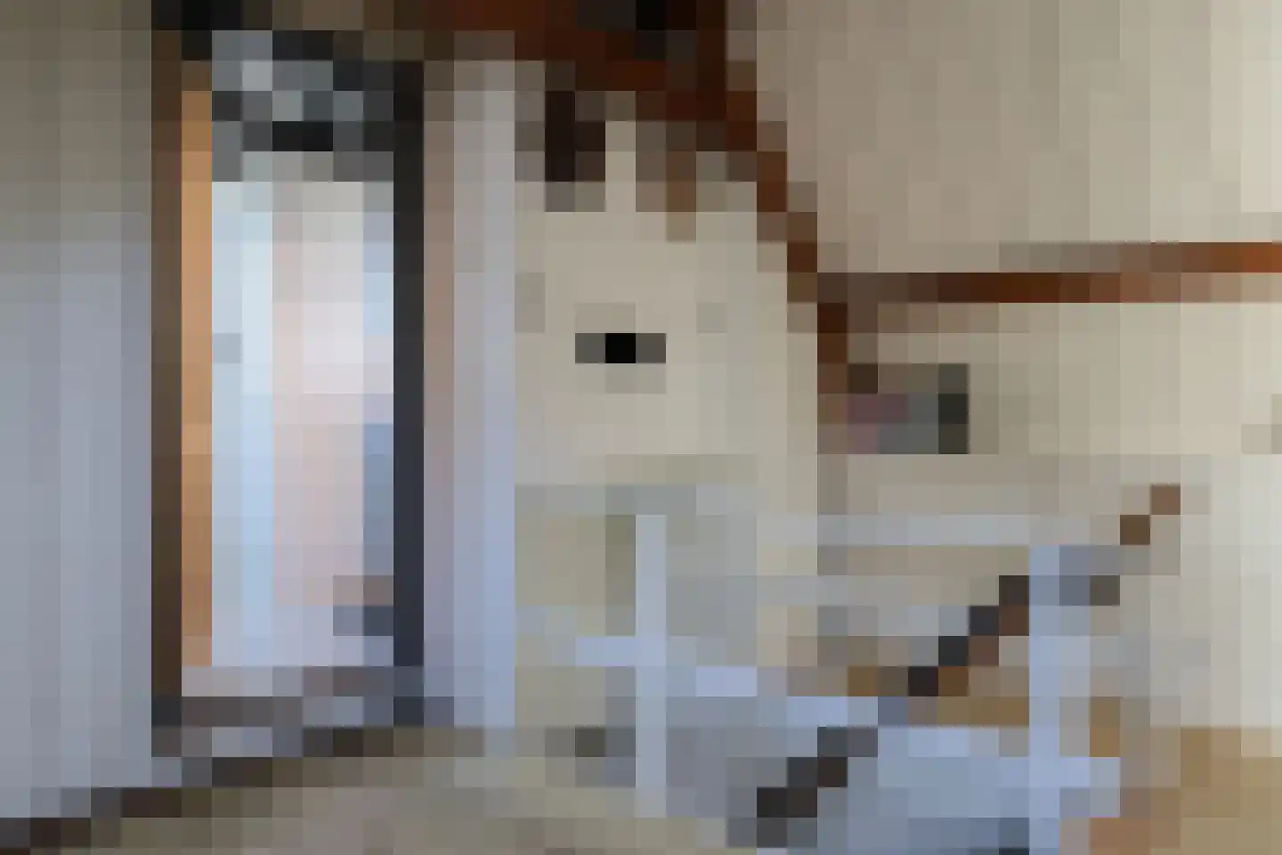 Sytzamaweg 44 Arum thumbnail 49