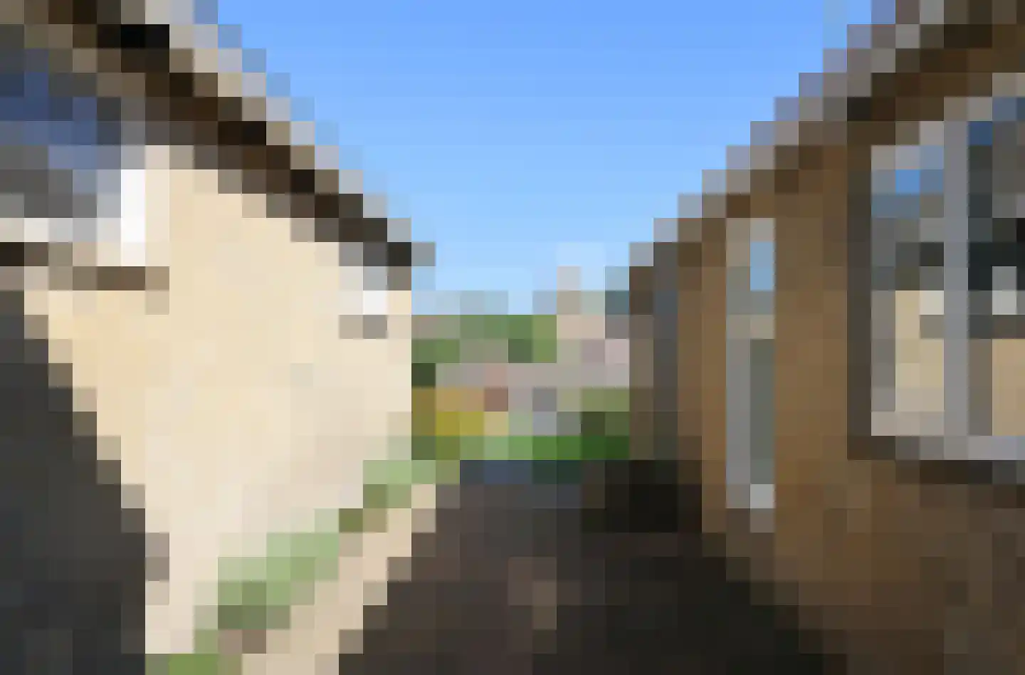 Sytzamaweg 44 Arum thumbnail 55