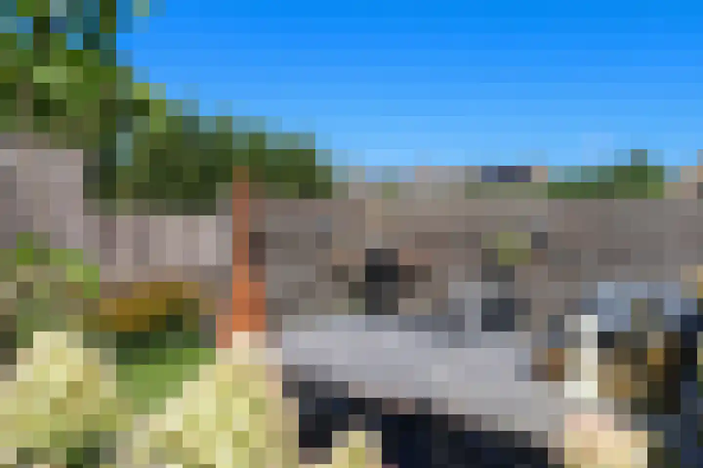 Sytzamaweg 44 Arum thumbnail 59