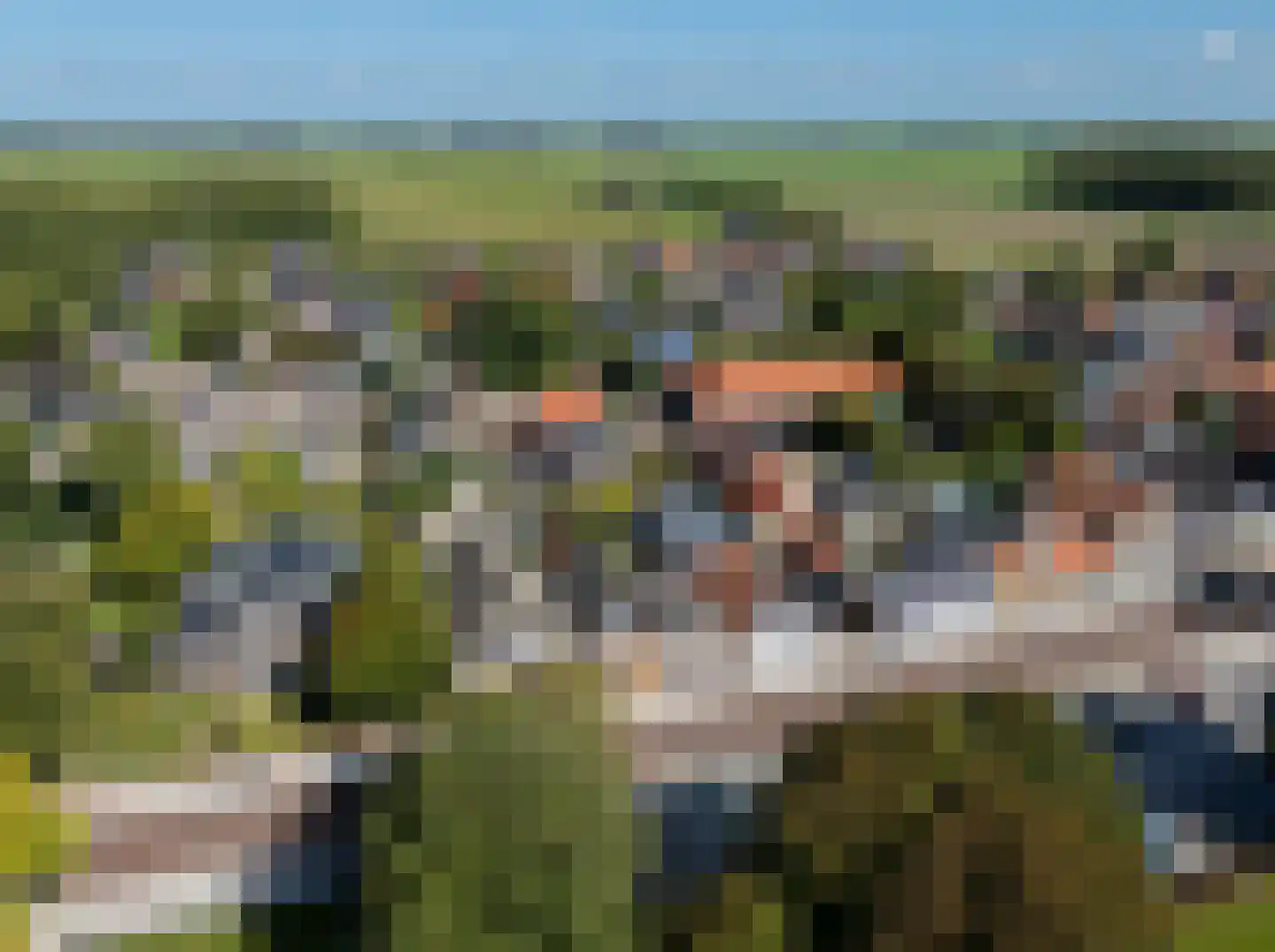 Sytzamaweg 44 Arum thumbnail 64