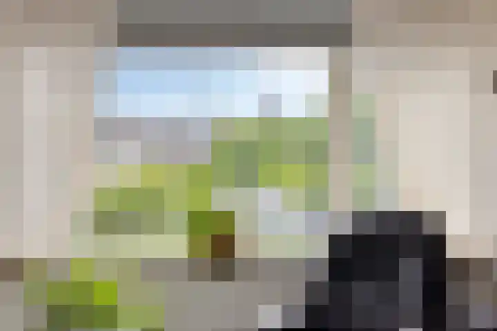 't Abdij 12 Ermelo thumbnail 14