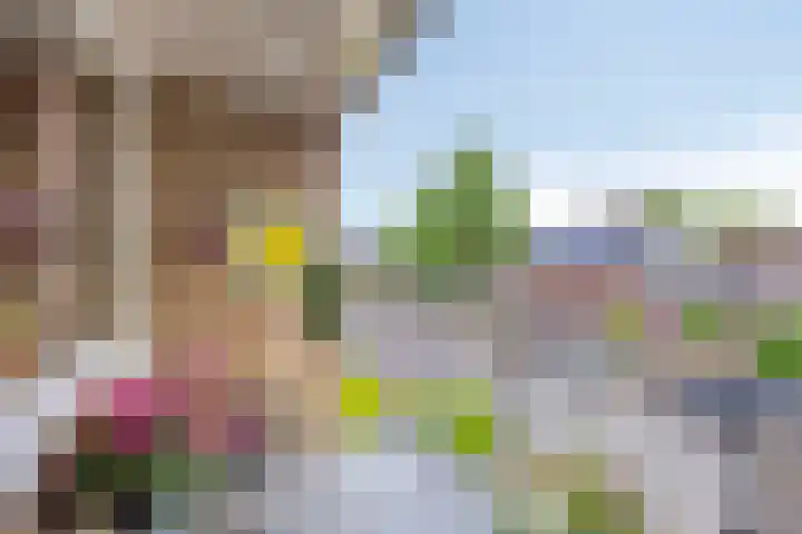 't Abdij 12 Ermelo thumbnail 26