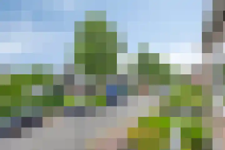 't Abdij 12 Ermelo thumbnail 29
